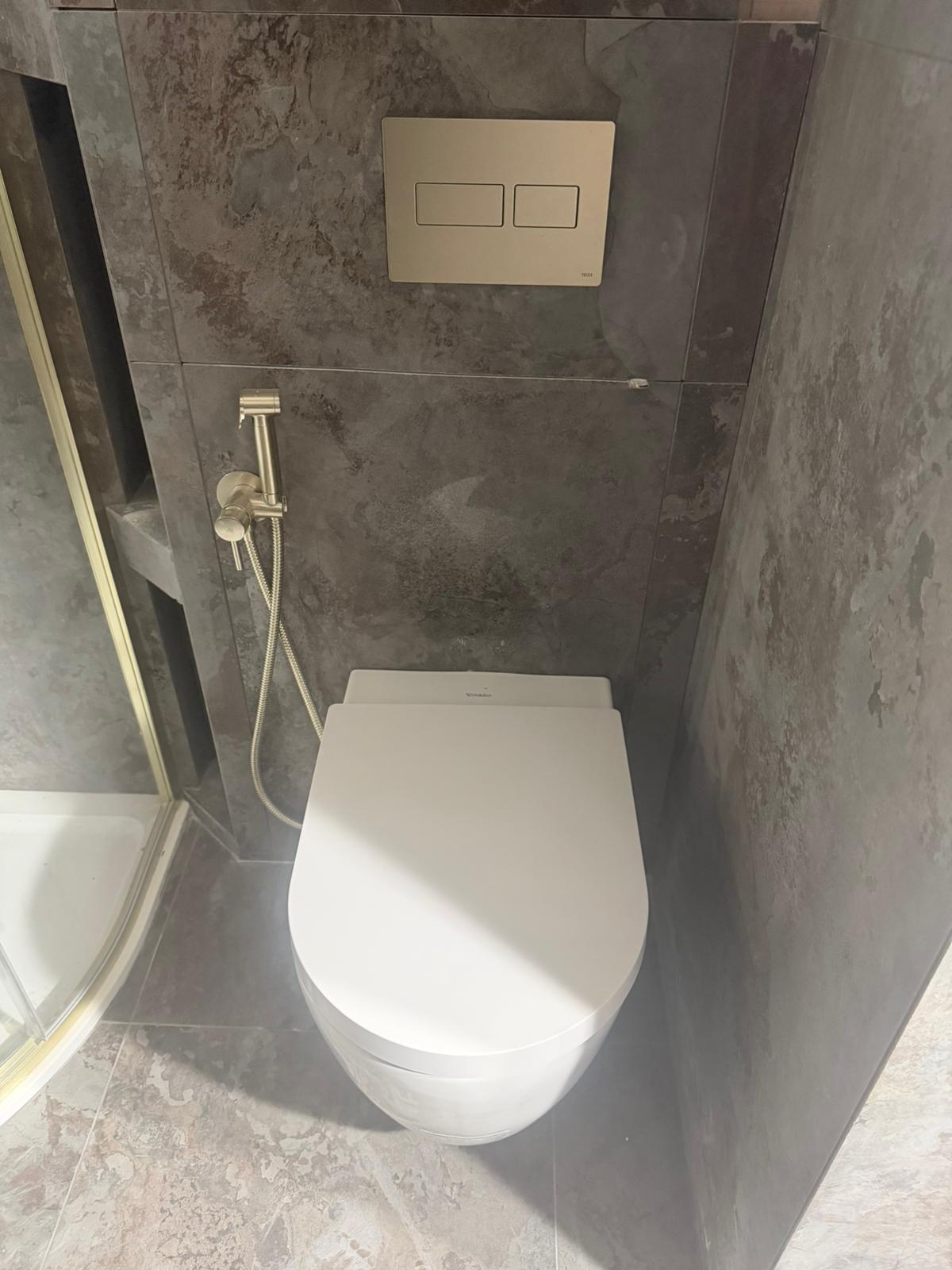 Wall-hung toilet with brushed nickel cistern plate